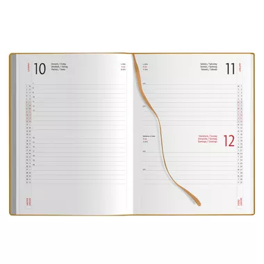 AGENDA GIORNALIERA ECO PB358 Confezione da 20