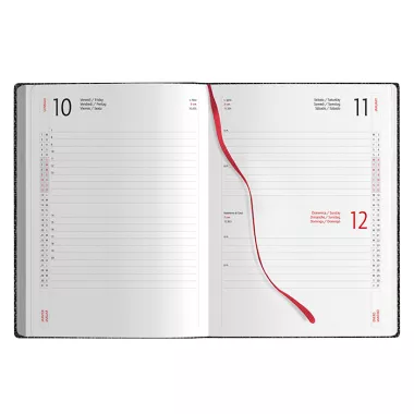 AGENDA GIORNALIERA PB300 Confezione da 20