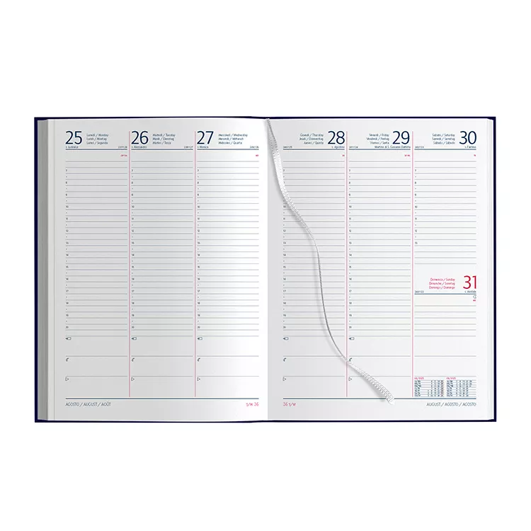 AGENDA SETTIMANALE MAXI PB506 Confezione da 20