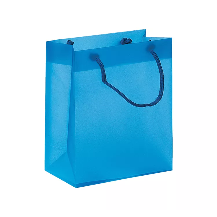 PP BAG EX CODICE T5109 KG512 Confezione da 10